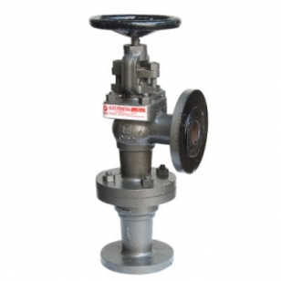 Accessible Feed Check Valves